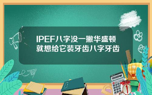 IPEF八字没一撇华盛顿就想给它装牙齿八字牙齿