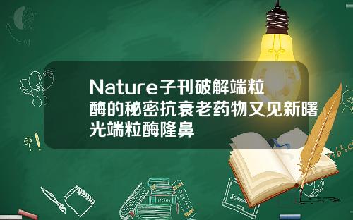 Nature子刊破解端粒酶的秘密抗衰老药物又见新曙光端粒酶隆鼻