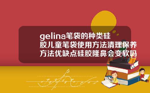 gelina笔袋的种类硅胶儿童笔袋使用方法清理保养方法优缺点硅胶隆鼻会变软吗