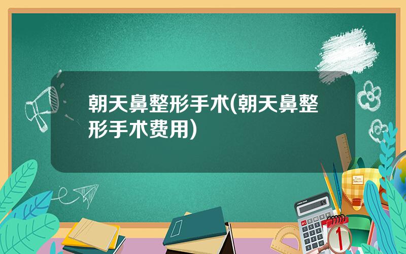 朝天鼻整形手术(朝天鼻整形手术费用)