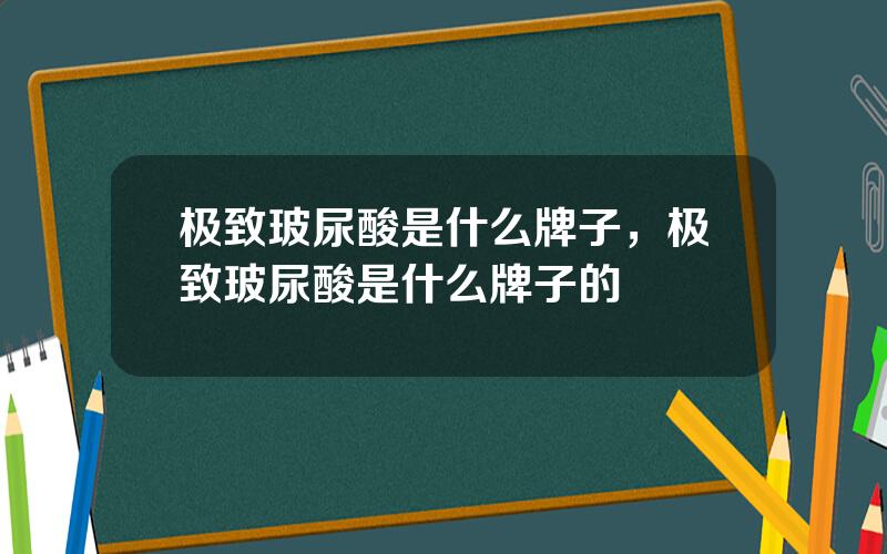 极致玻尿酸是什么牌子，极致玻尿酸是什么牌子的
