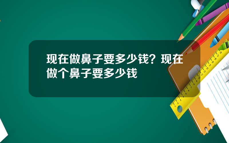 现在做鼻子要多少钱？现在做个鼻子要多少钱
