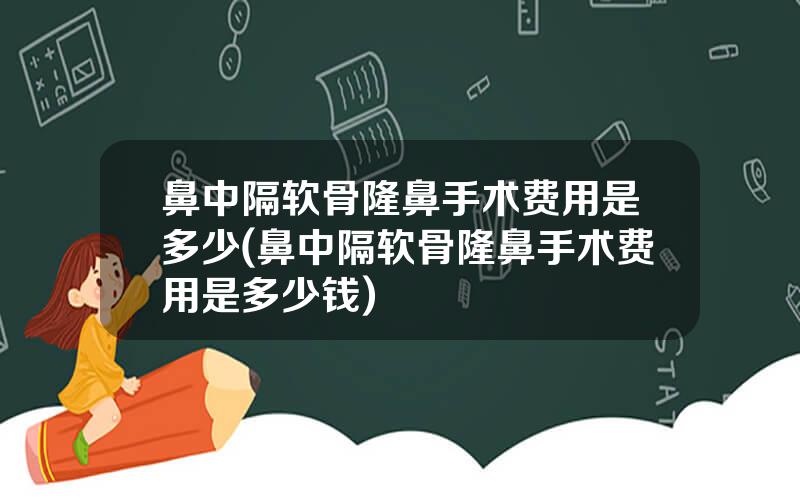 鼻中隔软骨隆鼻手术费用是多少(鼻中隔软骨隆鼻手术费用是多少钱)